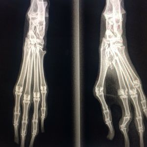 Meet your Posher, Richard